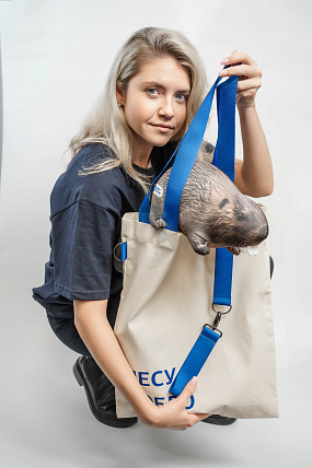 картинка Сумка-шоппер "НЕСУ БОБРО" от магазина Одежда+