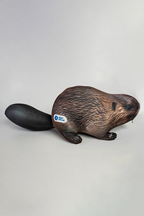 картинка Игрушка-антистресс «Бобр» от магазина Одежда+