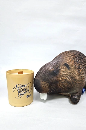 картинка Ароматическая свеча Ваниль "Бизнес-наша стихия" от магазина Одежда+