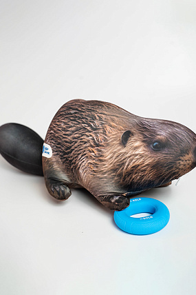 картинка Эспандер в мешке «Бизнес - наша стихия» от магазина Одежда+