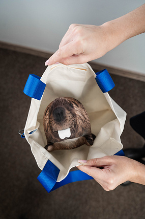 картинка Сумка-шоппер "НЕСУ БОБРО" от магазина Одежда+