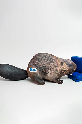 картинка Игрушка-антистресс «Бобр» от магазина Одежда+