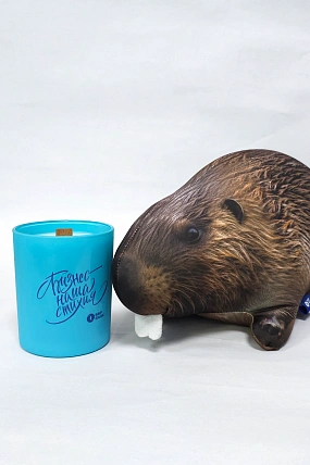 картинка Ароматическая свеча Мята "Бизнес-наша стихия" от магазина Одежда+