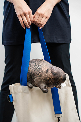 картинка Сумка-шоппер "НЕСУ БОБРО" от магазина Одежда+