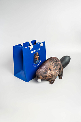 картинка Пакет "Несу бобро" от магазина Одежда+